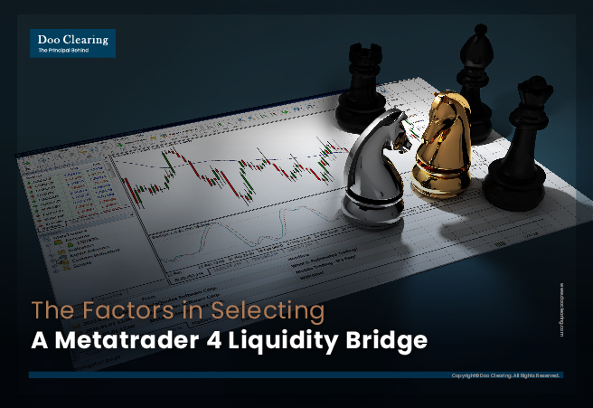 The Factors in Selecting A Metatrader 4 Liquidity Bridge