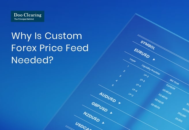 Why Is Custom Forex Price Feed Needed? 